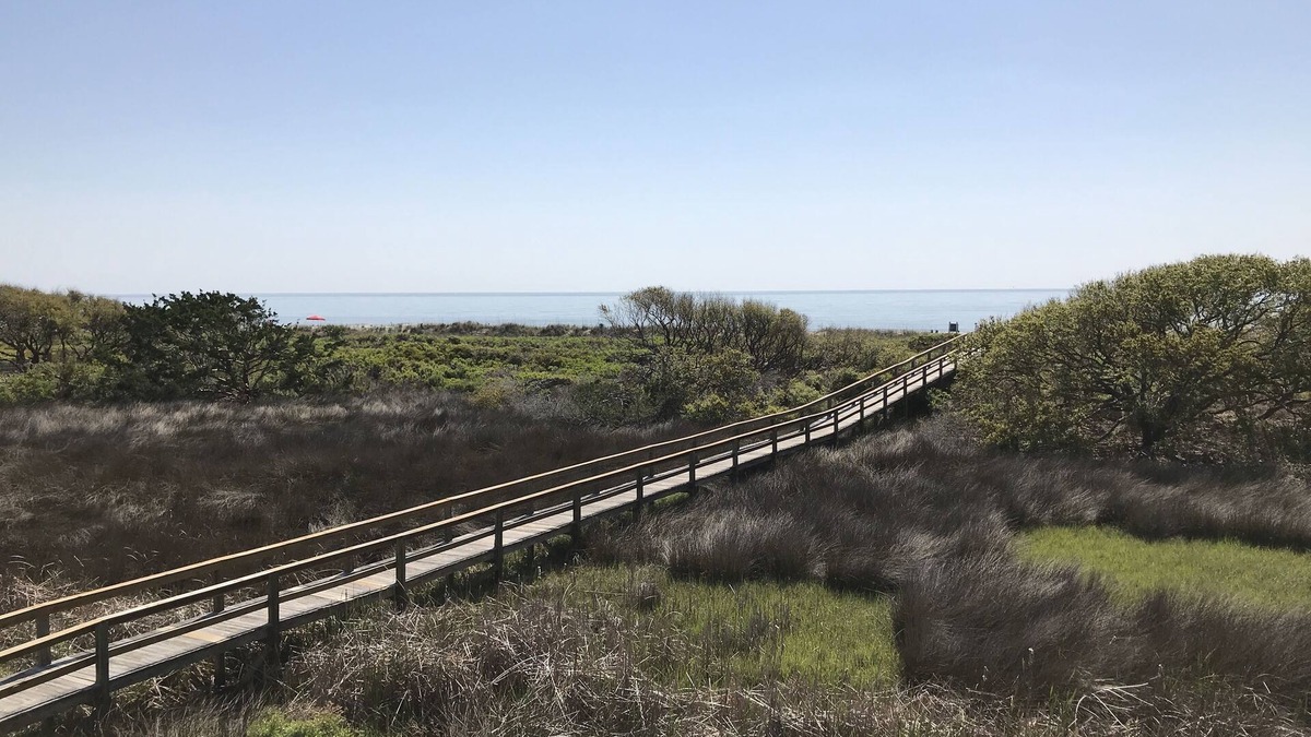 Folly Field Condo | Direct Ocean Front View Condo! A225. Also see HA#9437951🏖next door!