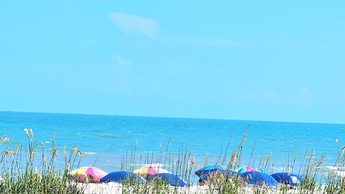 Ash Condo | Direct OCEANFRONT View- Ocean Pier1 -2-bd/2 bath N. Myrtle Beach, Windy Hill!