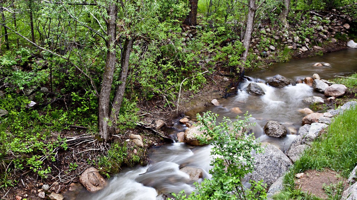 Broadmoor Cabin | Directly on Cheyenne Creek * CENTRAL AIR* Built in 2021* 50 amp EV Charger
