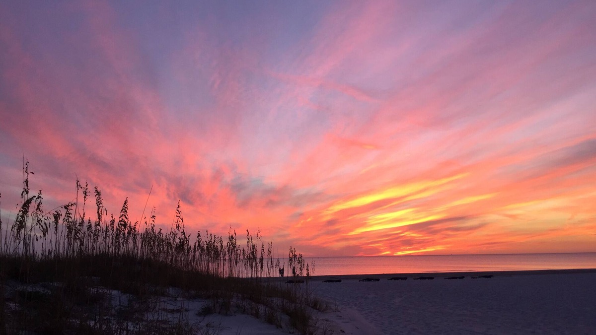 Madeira Beach Apartment | Directly on the Beach