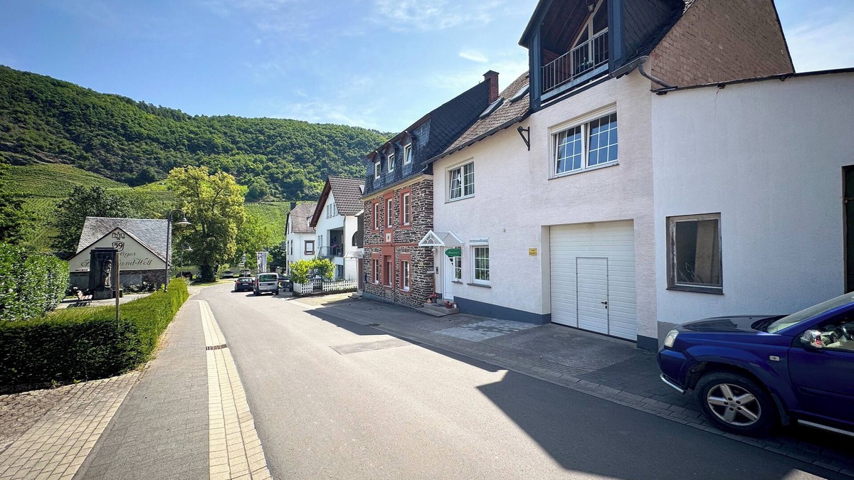 Wolf Apartment | Directly on the Moselle with vineyardsview