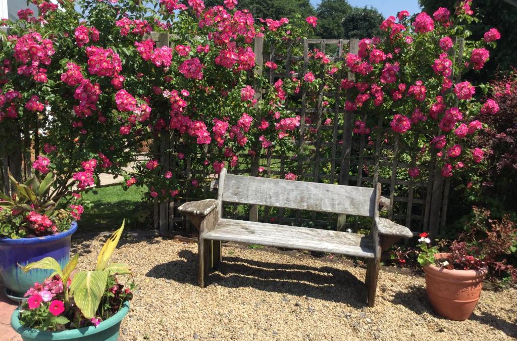 Pewsey Bed & Breakfast | Disabled friendly BnB with gorgeous garden