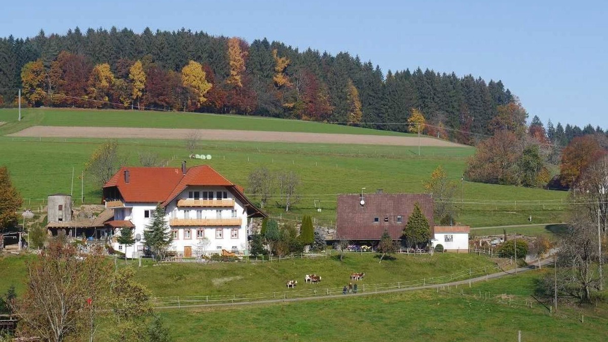 Biederbach Apartment | Dischhof - vacation apartment 90sqm, 3 bedrooms, max. 7 pers., 1 - 7 persons