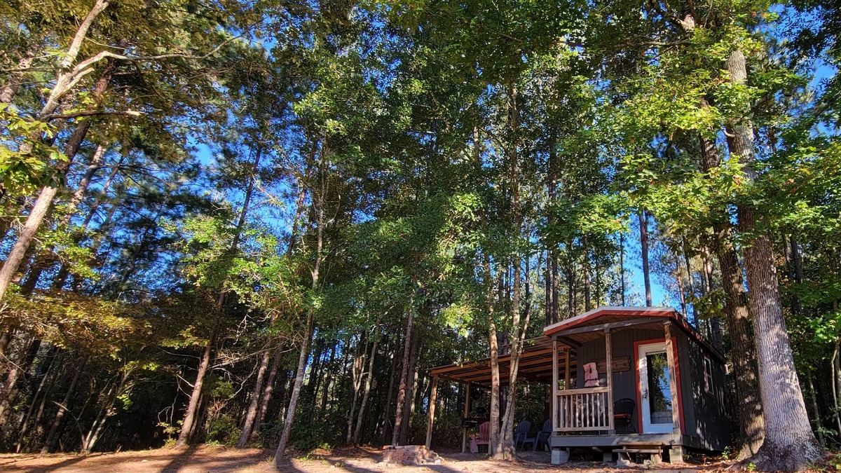 Reynolds Cabin | DISCONNECT! Experience Life Off-Grid