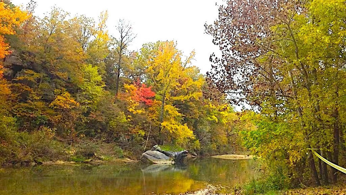 Boswell Cabin | DISCOUNTED! WATERFRT CABIN ON PINEY CREEK-GORGEOUS-SECLUDED-BONUS O/S HOT SHOWER
