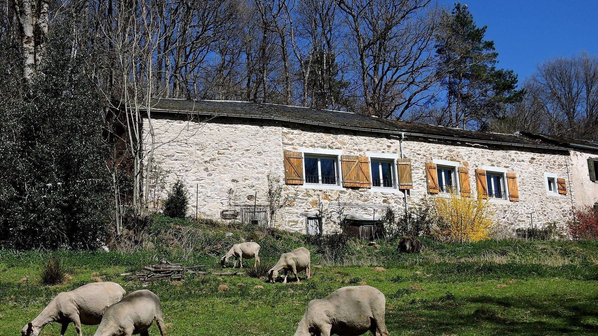 Montredon-Labessonnie House | Discover our gîte for everyone: spacious, comfortable and accessible!
