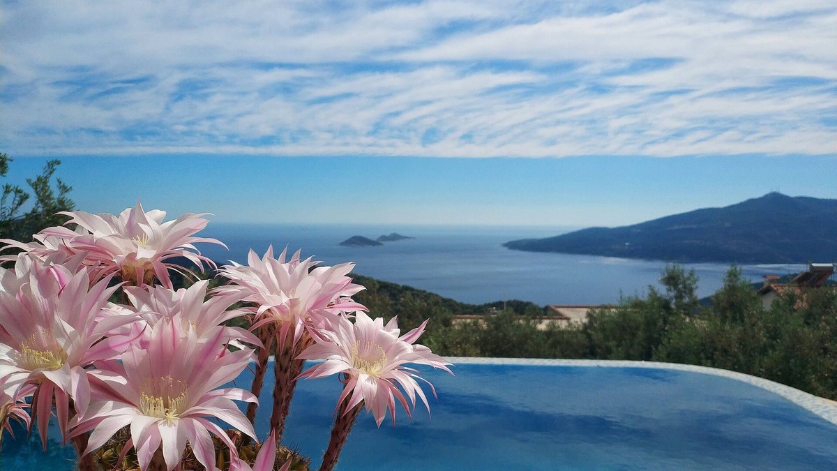 Kalkan House | Discover Kybele Kalkan – Your Private Escape in Paradise