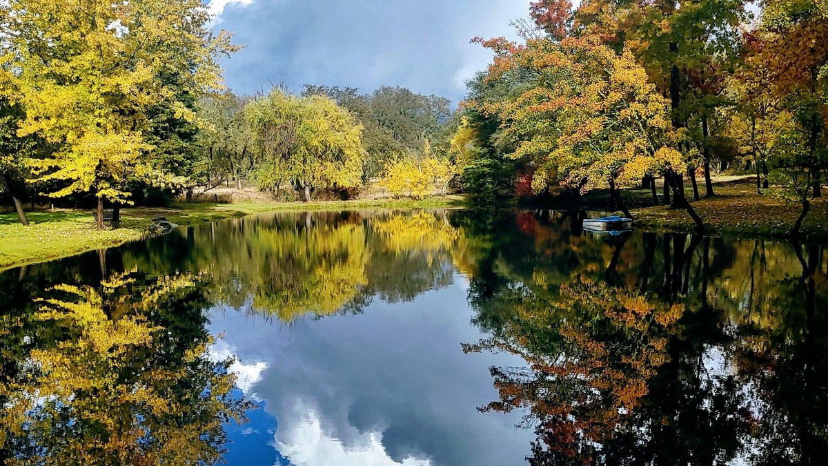 Granite Bay Other | Discover Lake Farmhouse next to 100 acres