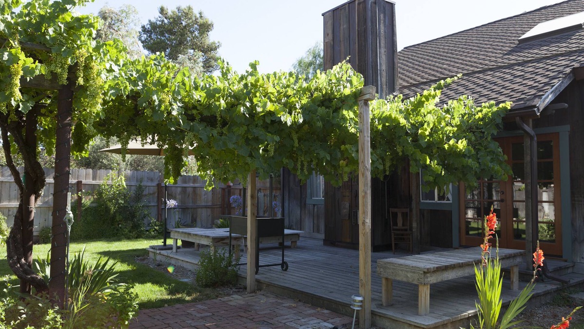Los Olivos House | Discover Los Olivos charm, just steps to great restaurants and wine tasting.