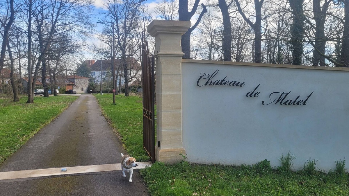 Roanne House | Discover the Gîte des Loges, a haven of peace in the heart of Château de Matel!