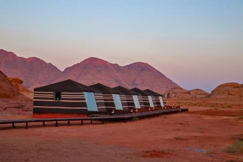 Wadi Rum Other | Discover the life of Wadi Rum