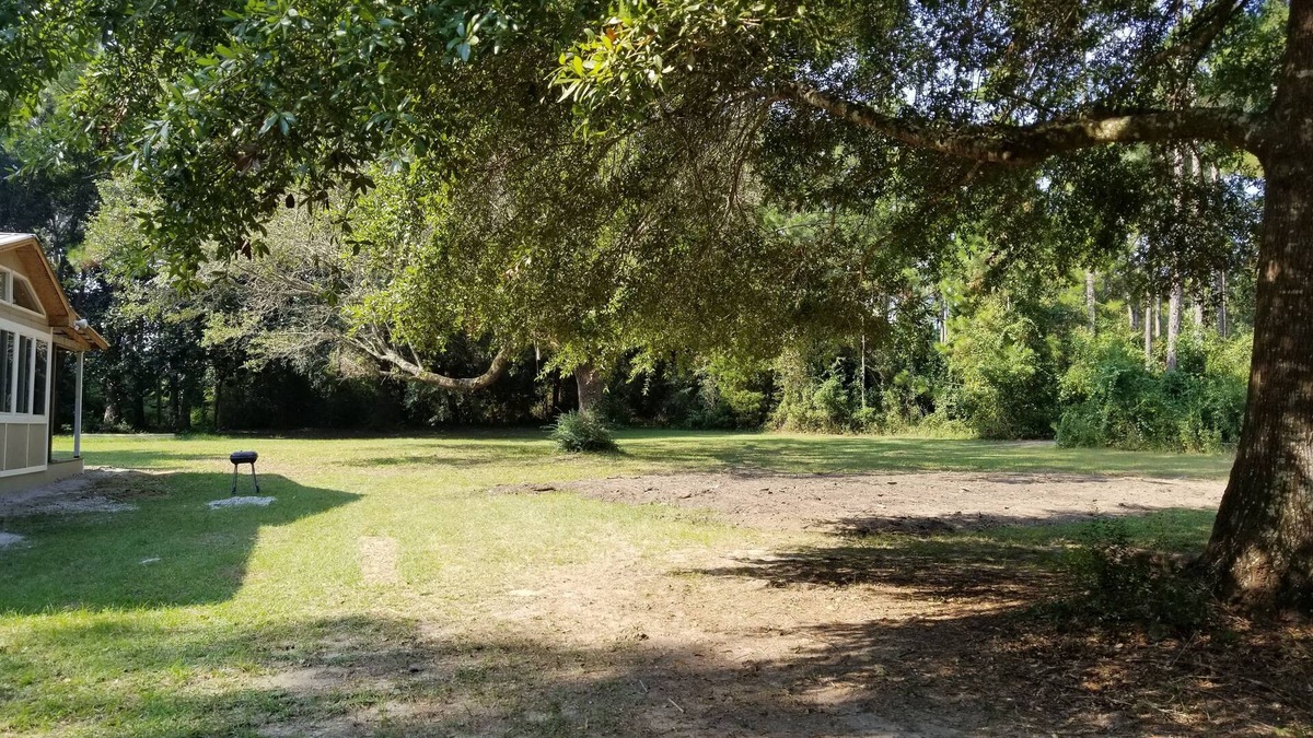 Elberta House | Ditch the shoreline concrete jungle for your private wooded getaway!