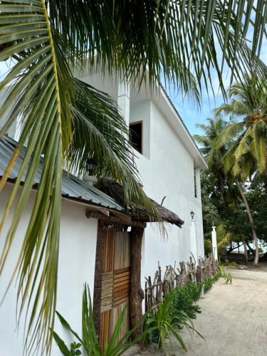 Dhidhdhoo Hotel | Dive and Sleep - All Inclusive Diving Guesthouse - 3 Dives per day
