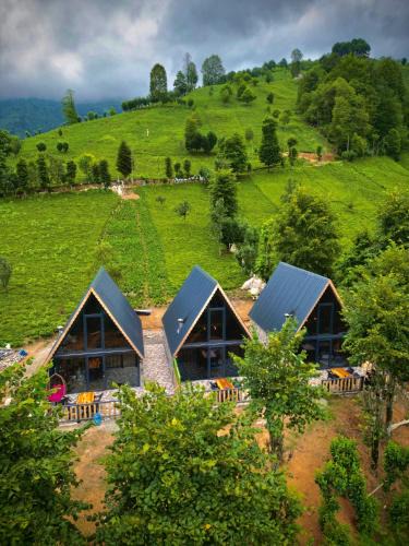 Ayder Ski Chalet | Doğallife suit bungalow