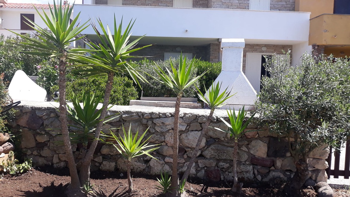 Santa Caterina House | DOMIXEDDA, Sardinia West Coast Sea Front