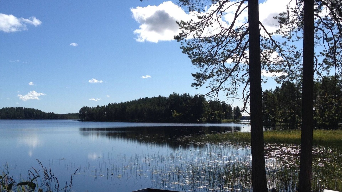 Nornas Cabin | Do you want to relax in quiet scenic surroundings during summer or winter?