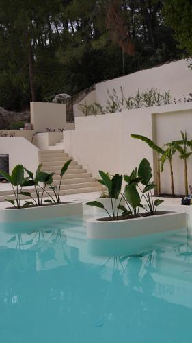 Kemer Hotel | Doc's Hotel Kemer