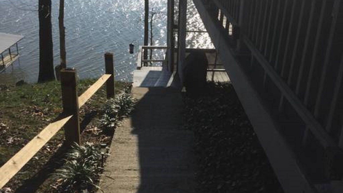 New Concord Cottage | Dock on lake and our 750 sq ft cottage home at Kentucky Lake