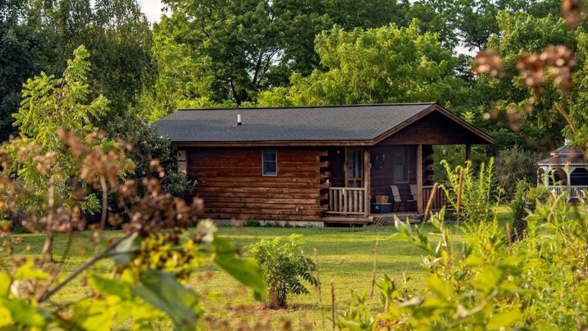 Lodi Cabin | Dog friendly cabin w/private hot tub & breakfast delivered daily!