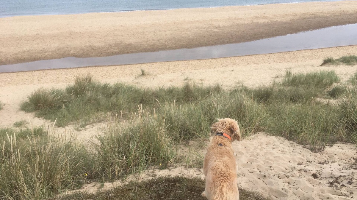 Winterton-on-Sea House | Dog friendly cottage moments from beautiful Winterton beach