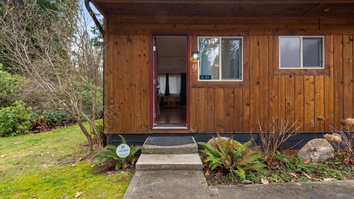 Quilcene Apartment | Dog-friendly hiker's studio with mountain views & fast WiFi