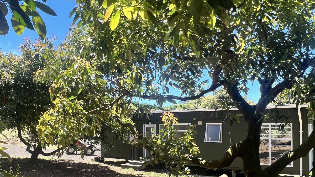 Aongatete Cabin | Dog friendly, rural, close to beaches, cafes, bush walks and golf courses