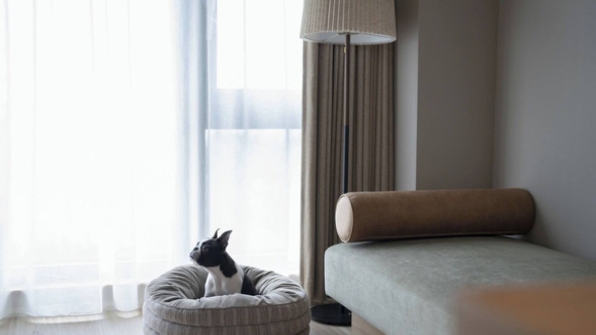 Manazuru Hotel | Dog room with ocean view Breakfast included to b/Ashigarashimo-gun Kanagawa