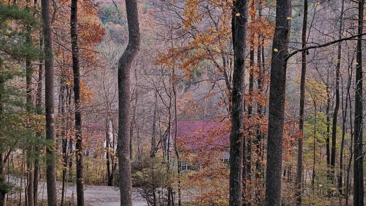 Blairsville Cabin | Dogwood Nestled atop the pristine mountain canopy
