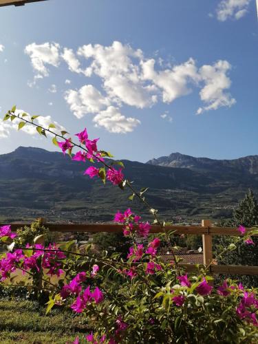 Rovereto Bed & Breakfast | DOLCE DORMIRE