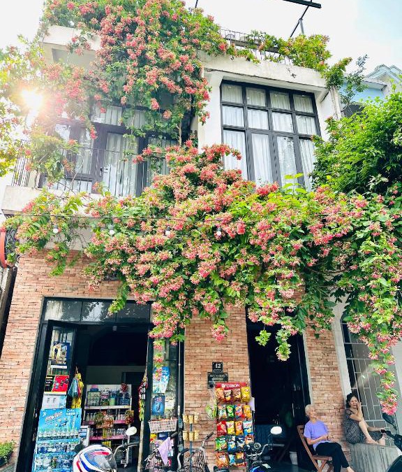 Dong Hoi House | Dolphin Home