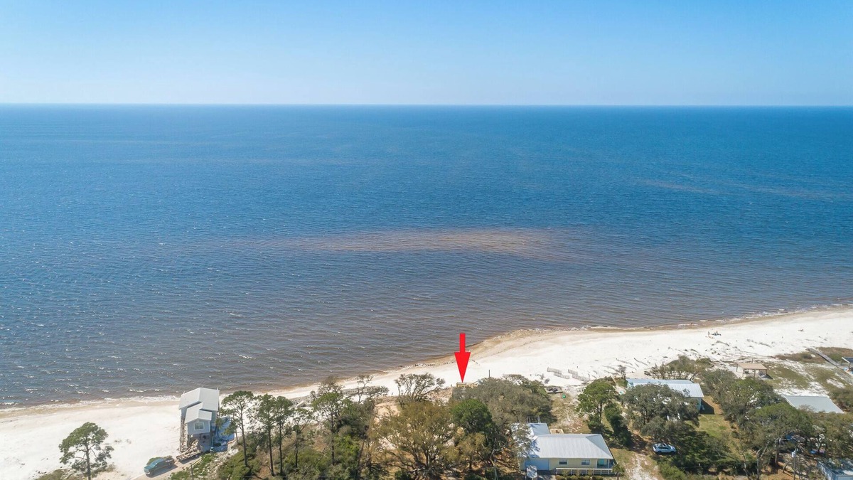 Alligator Point House | "Dolphin Reef" Adorable coastal cottage with a fully fenced yard right on the Gulf!