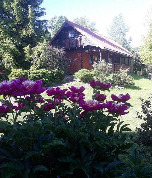 Uscie Gorlickie House | Dom Gościnny AZALIA