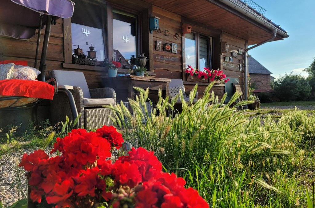 Karsibor Bed & Breakfast | DOM GOŚCINNY PTASZARNIA - NATURA-Free PARKING