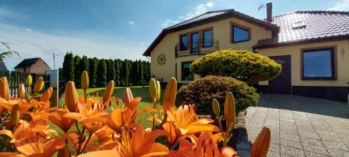 Swinoujscie Apartment | Dom Gościnny u Sternika