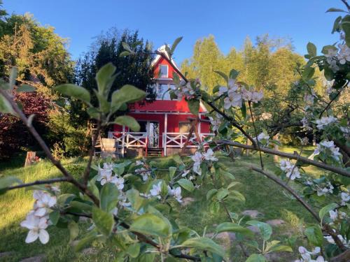 Borzestowska Huta House | Dom w Jabłonkach Wakacje, Kaszuby, Chmielno, Sznurki Gwiezdna 24