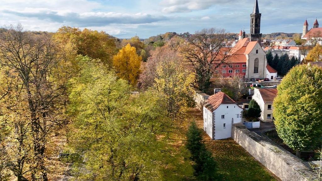 Lwowek Slaski Villa | Dom w murach