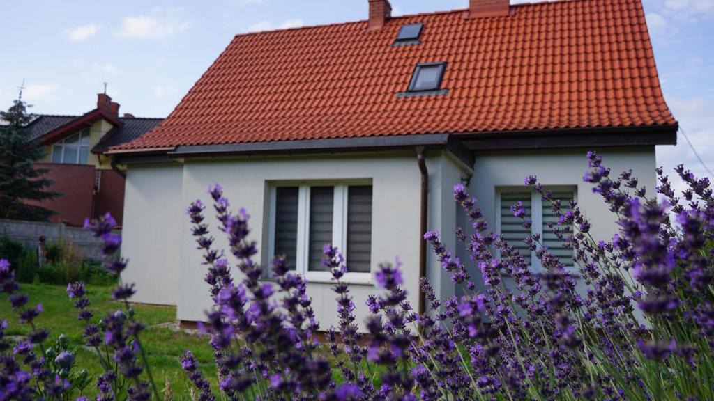 Siedlce House | Dom w sercu Gdańska