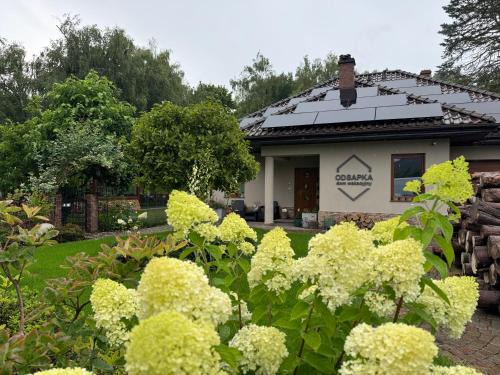 gmina Kobylanka Bed & Breakfast | Dom Wakacyjny ODSAPKA
