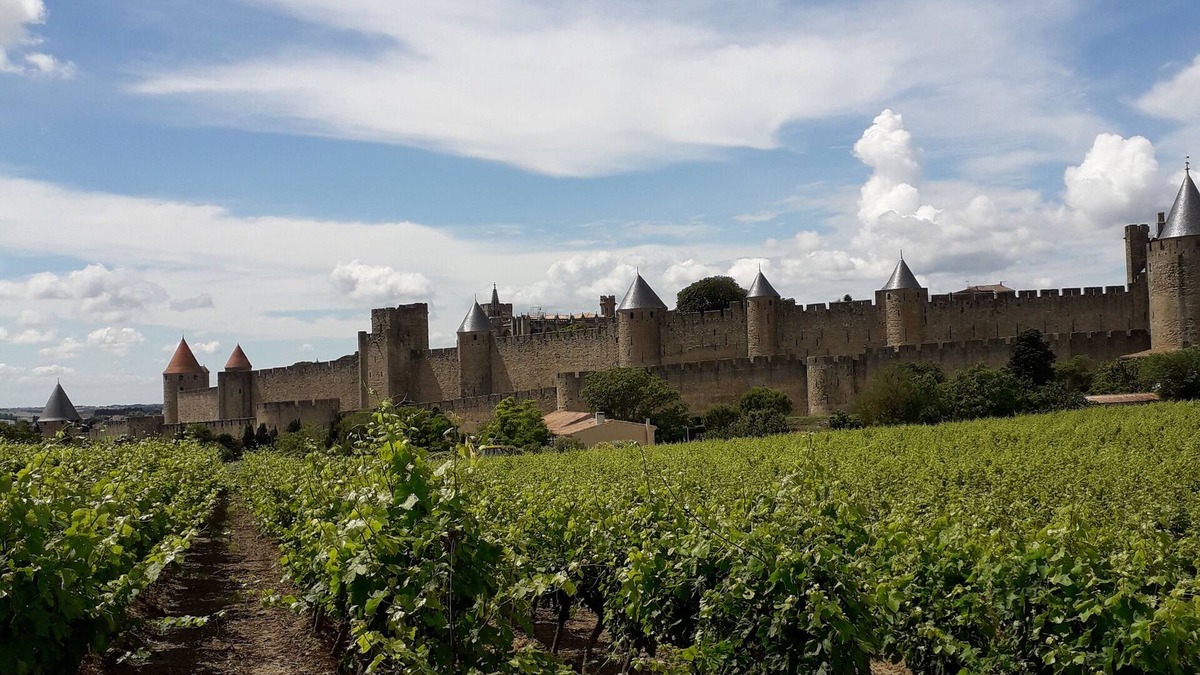 City of Carcassonne House | Domaine au Pied des Remparts