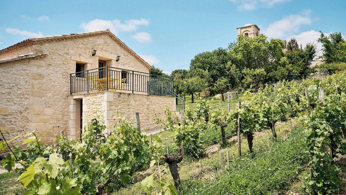Montagne House | Domaine Baudon, situé au cœur des vignes