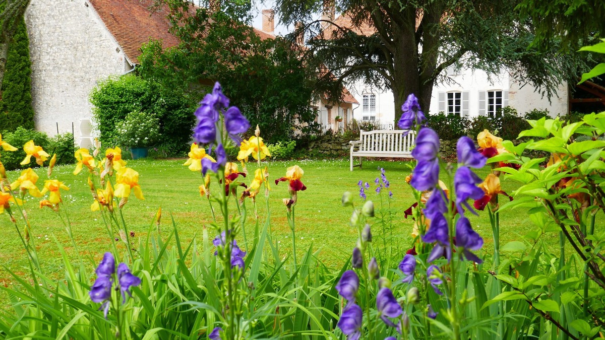 Adon House | Domaine d'Adon * - Charming renovated house 45m² in Adon (45) sleeps 2