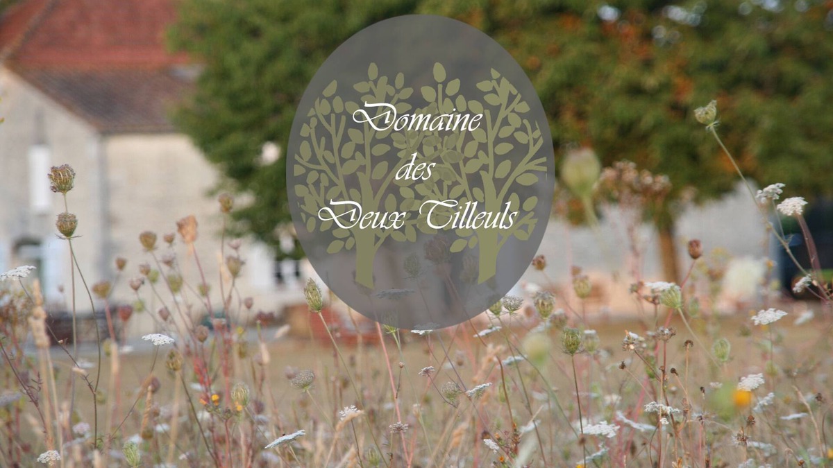 Saint-Georges-du-Bois House | Domaine des Deux Tilleuls - Cottage in a former barn
