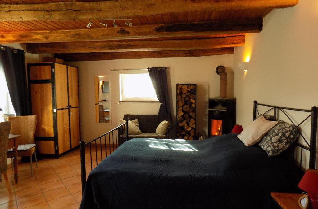 Vitrey-sur-Mance Apartment | Domaine de la Mance - Maisonnette avec cheminée