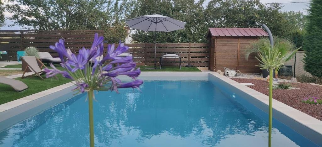 Cadalen Bed & Breakfast | Domaine de la Vigne