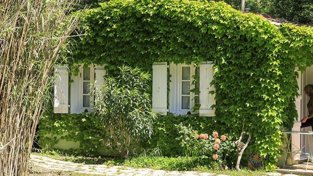 Avignon Cottage | domaine de rhodes cottage camargue