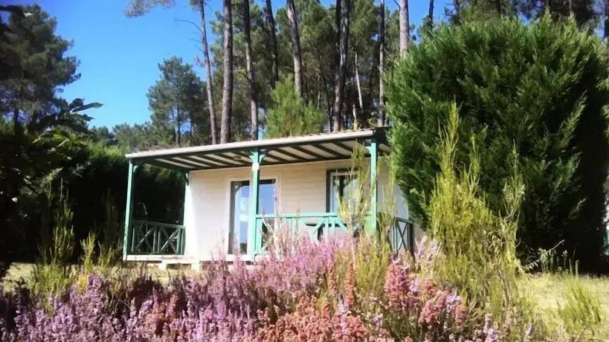 Tamnies Ski Chalet | Domaine des Grands Pins * - Chalet Epicea 4 people