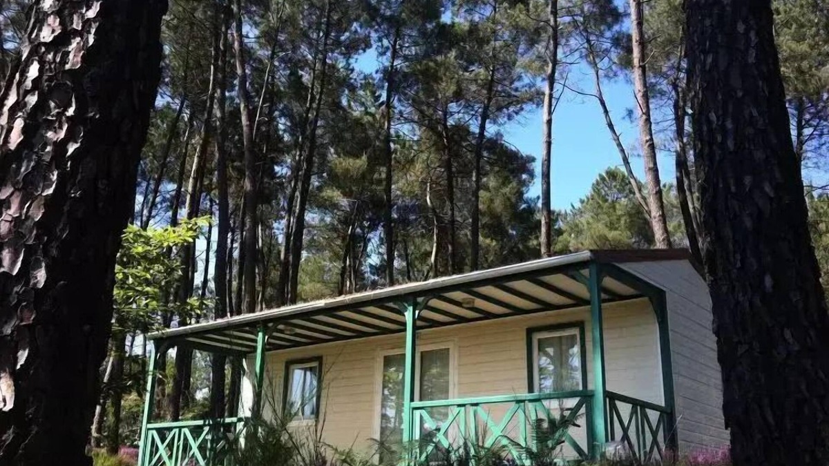 Tamnies Ski Chalet | Domaine des Grands Pins * - Chalet Chataignier 6 people