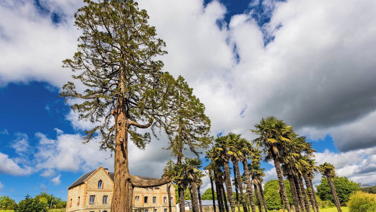 Morbihan House | Domaine du Plessis Kaër.