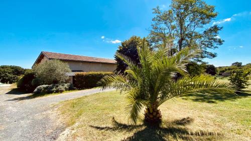 Saint-Caprais-de-Bordeaux House | Domaine de Canteloup au coeur des vignes avec piscine