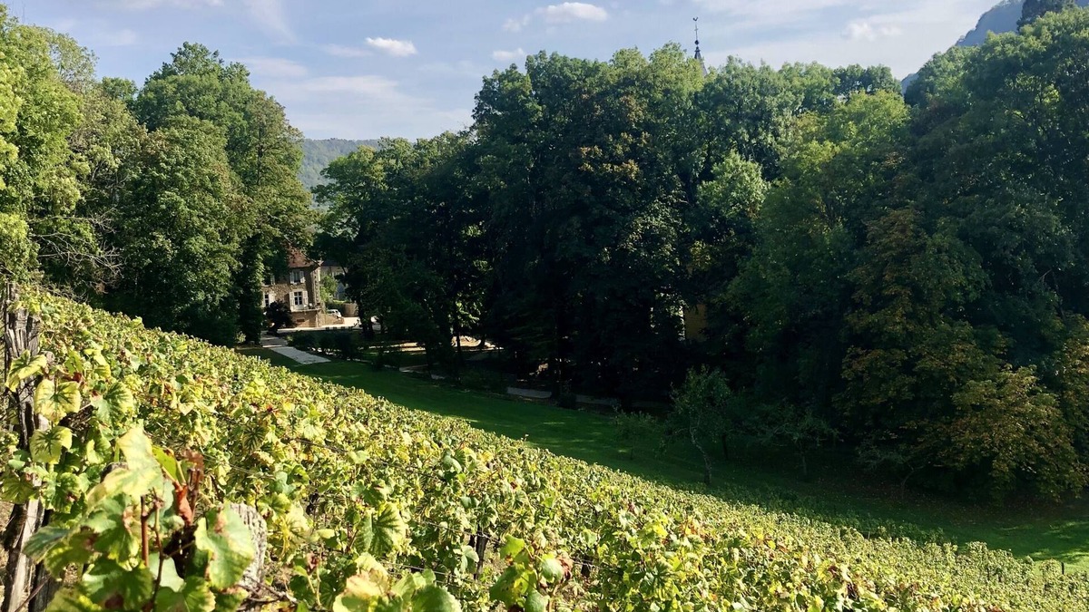 Nevy-sur-Seille House | Domaine Guiet - Gîtes Chez Morgane & Thomas